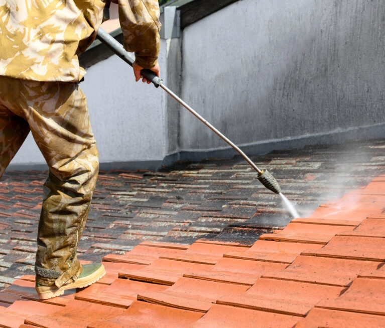Soft Wash Roof Cleaning in Palm Coast, FL