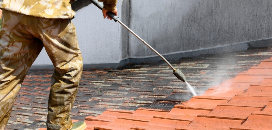 Soft Wash Roof Cleaning in Palm Coast, FL
