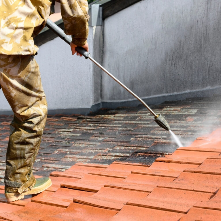 Soft Wash Roof Cleaning in Palm Coast, FL